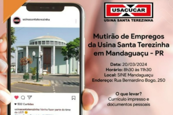 EMPREGABILIDADE