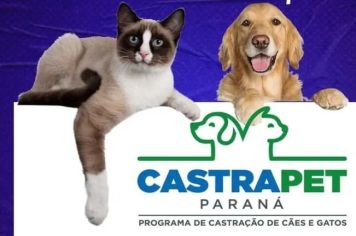  CASTRAÇÃO