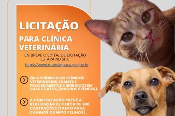 OPORTUNIDADE