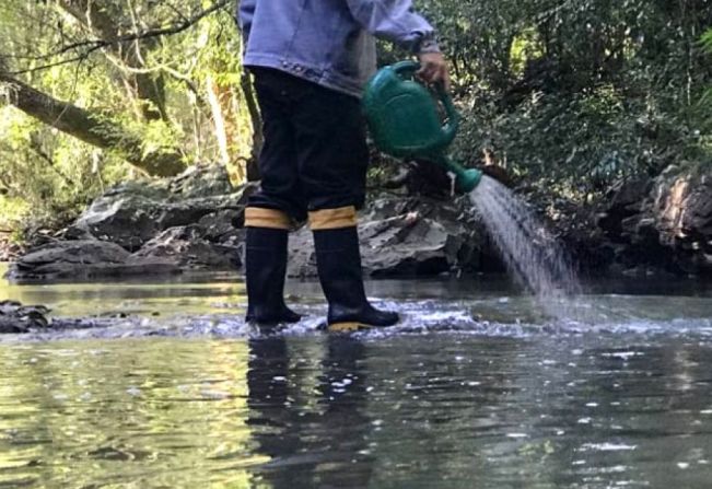 Prefeitura de Mandaguaçu investe R$ 45 mil em ações de combate aos mosquitos borrachudos e pernilongos 