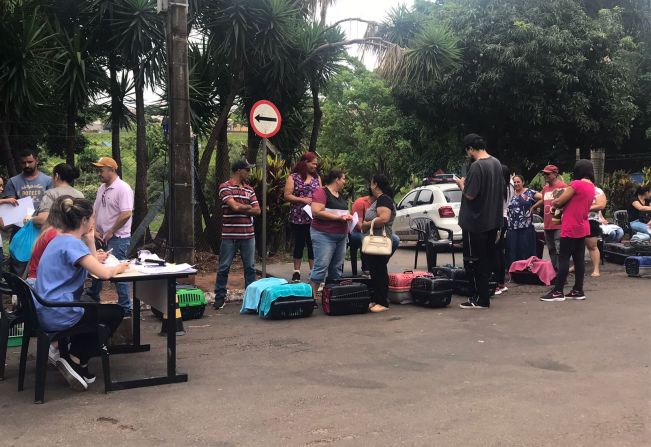 Começa hoje a etapa final do Castrapet em Mandaguaçu