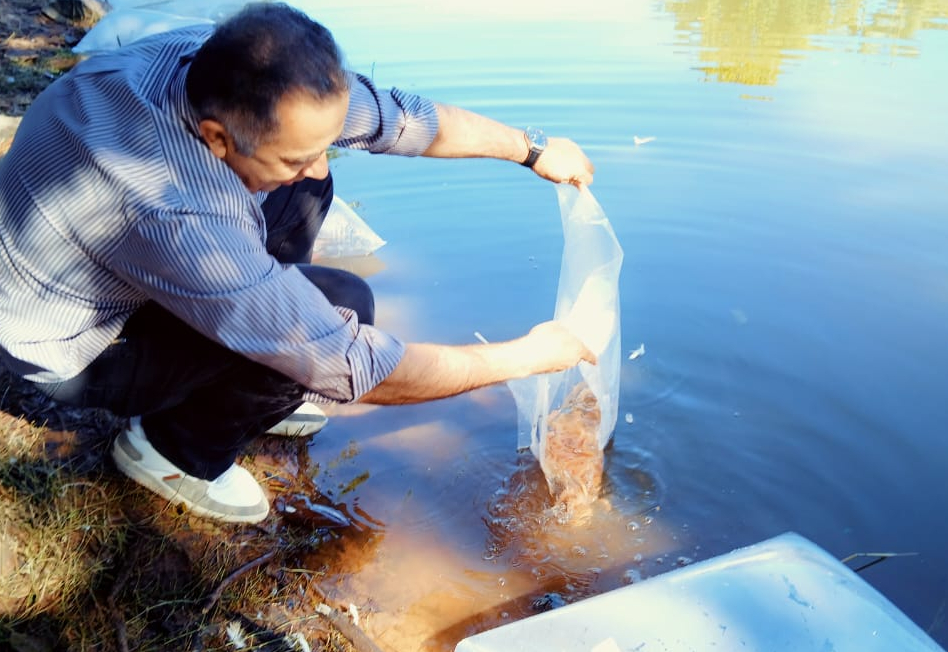 Lagoa Dourada recebe cerca de 3,5 mil alevinos de diversas espécies